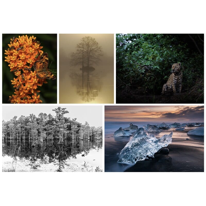 Behind the Lens: Meet the Photographers