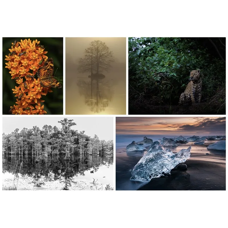 Behind the Lens: Meet the Photographers